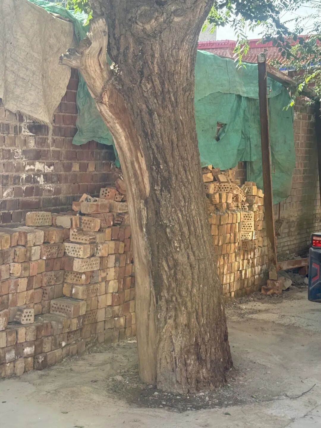 1757920520281848.jpg 640.jpg