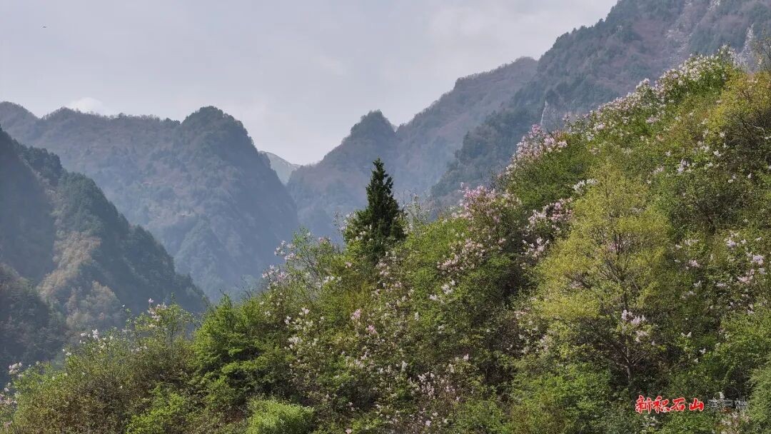 1768957887199981.jpg 640.jpg