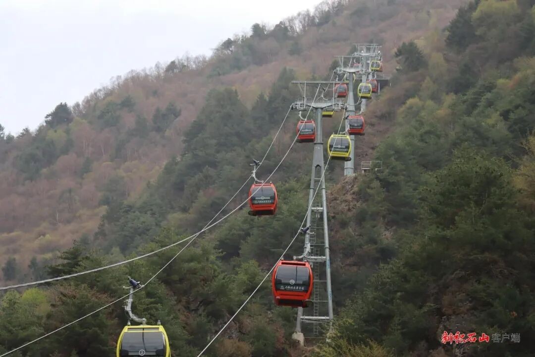 1768958022656048.jpg 640.jpg