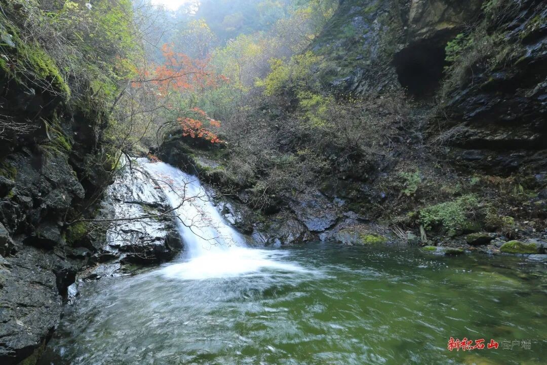 1768958171193193.jpg 640.jpg