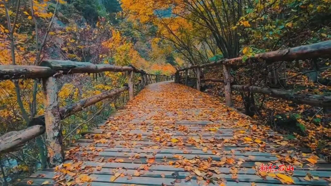 1768958266935055.jpg 640.jpg