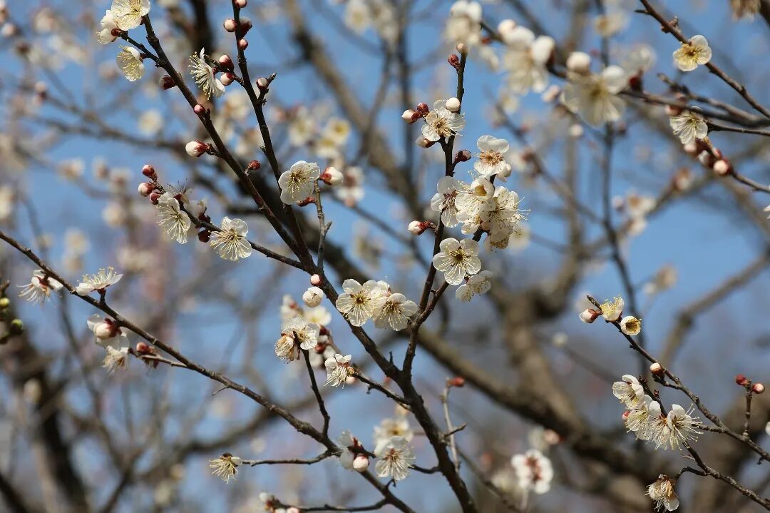 1770189518193269.jpg 640.jpg