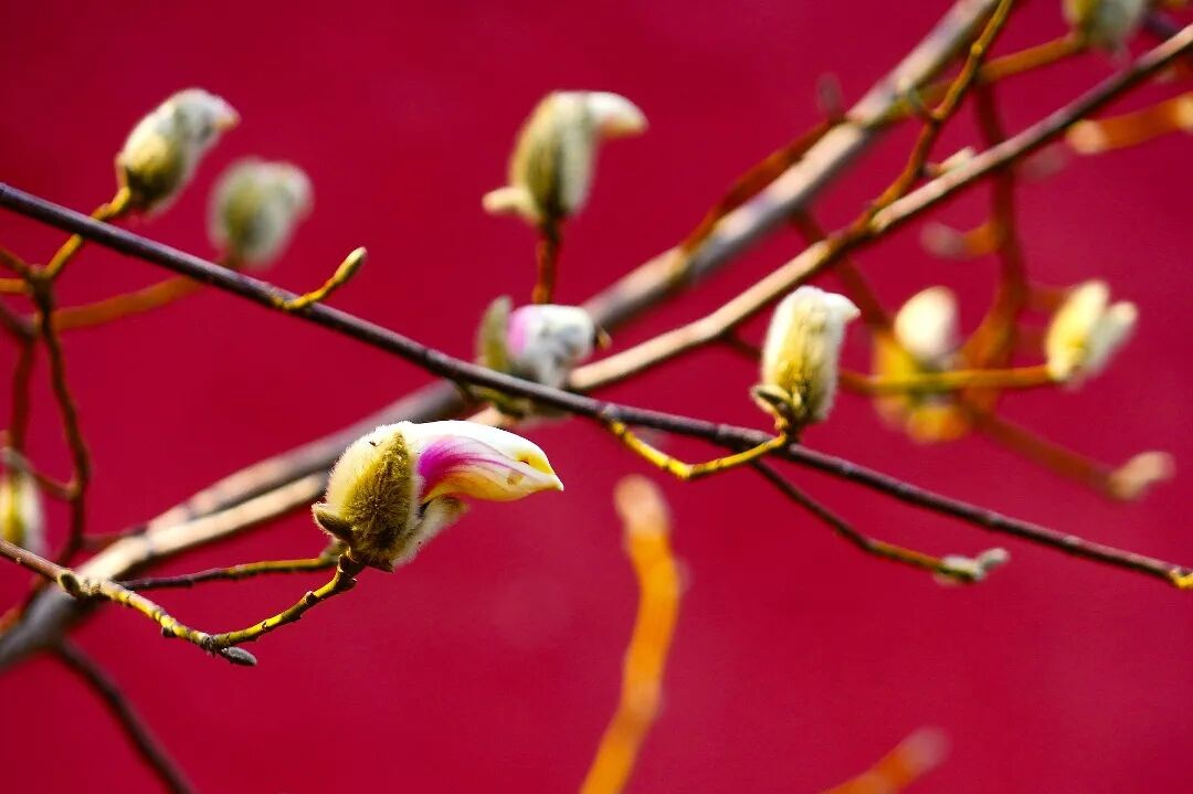 1770189593975625.jpg 640.jpg