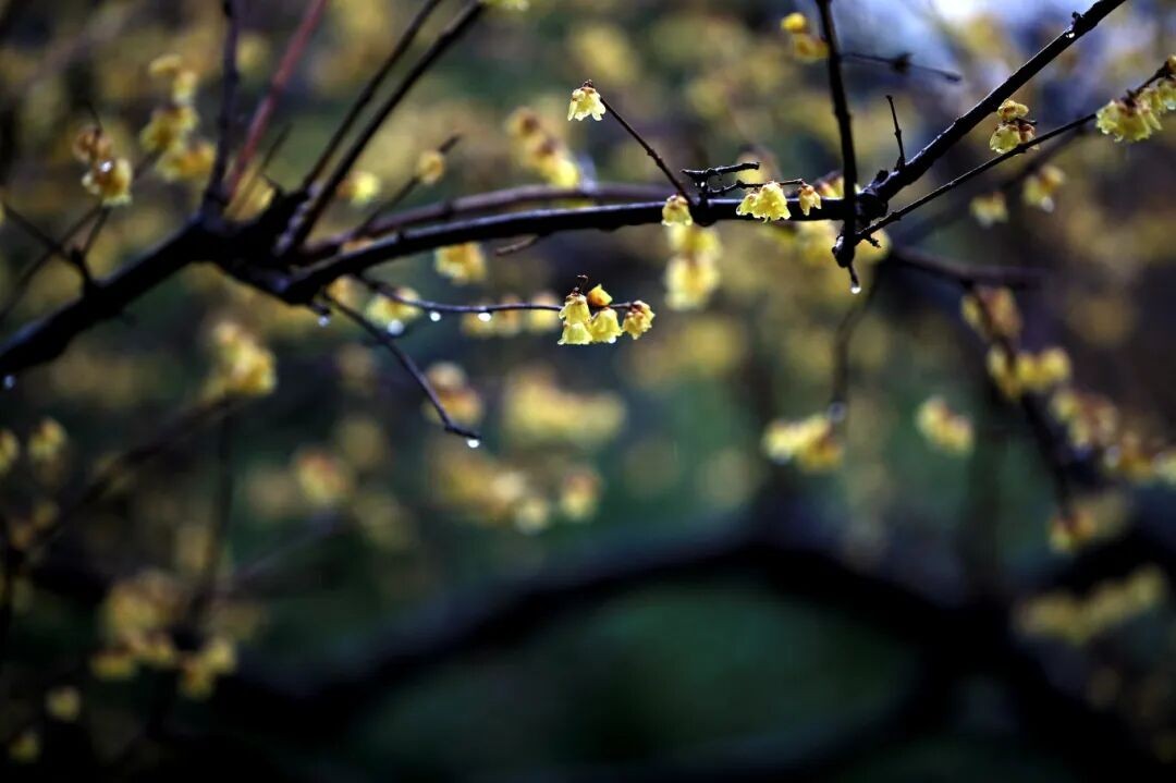 1770189772313176.jpg 640.jpg