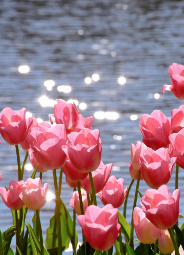 1775025394956502.png 11.png