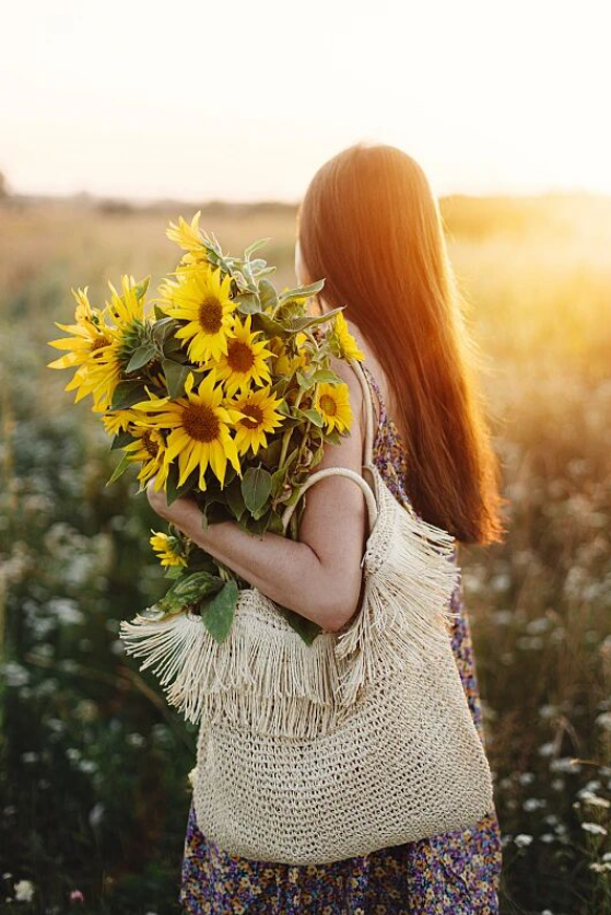 1775025425252971.png 12.png