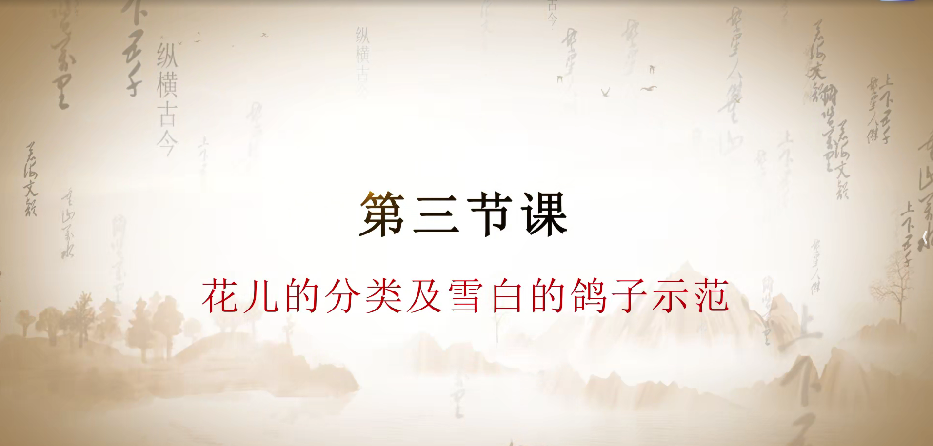 第三课 花儿的分类及雪白的鸽子示范.mp4